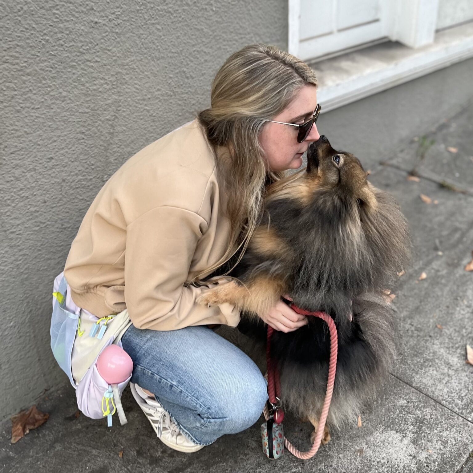 Extremely Fluffy Black And Tan Pomeranian Smooching Woman