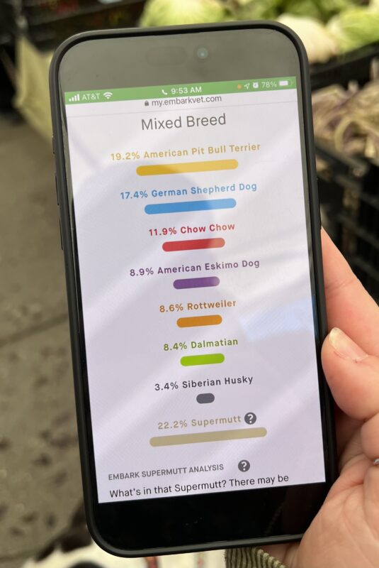 Dog Breed Information