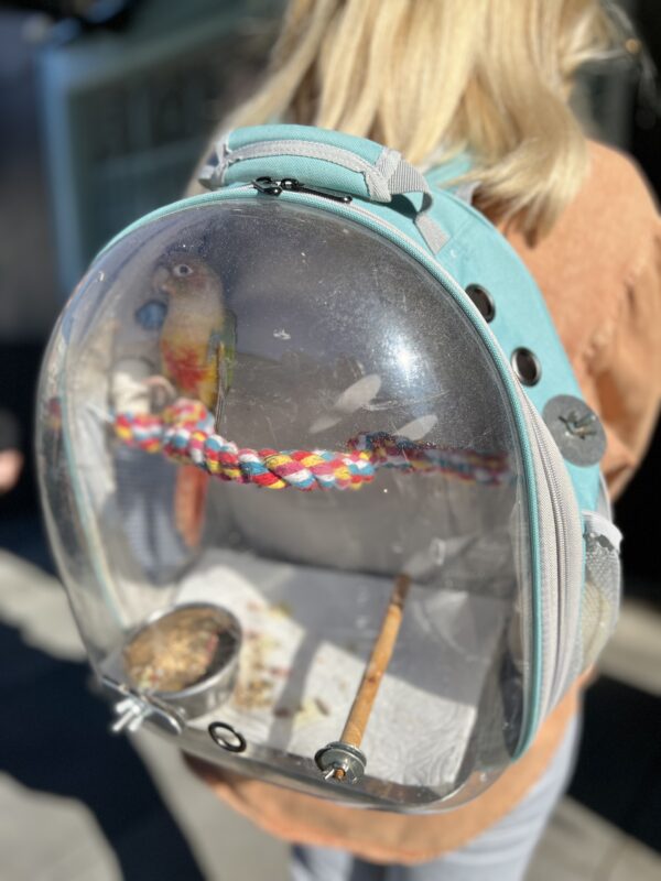 Woman Wearing Birdcage Backpack With Pineapple Conure In It