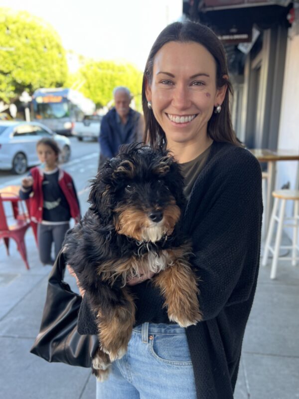 Smiling Woman Holding Bernadoodle Puppy