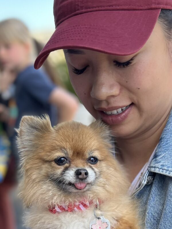 Woman Holding Pomeranian With Its Tongue Out