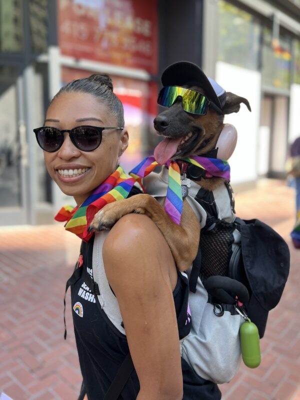 German Shepherd Mix Wearing Sunglasses Riding In A Woman's Backpack