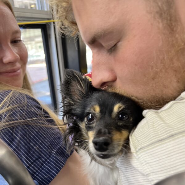 Man Kissing Black And Tan Chihuahua Papillon Mix On The Top Of The Head