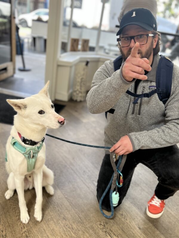 Man Holding Leash Of Korean Jindo