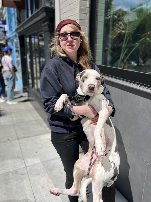 You better stay away or my mom'll beat you up! Woman Holding Large Dog Up Off The Ground