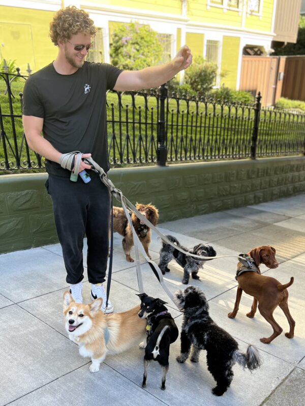 We're the San Francisco Cute Dog Chorus! Man Walking Six Cute Dogs