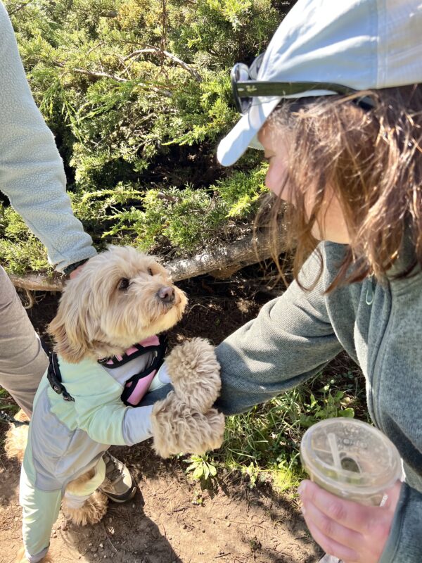 Please you gotta help me I am a fashion emergency! Track-Suited Goldendoodle Grabbing Woman's Hand In Her Paws
