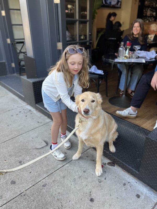 LOOK MY NEW BEST FRIEND KNOWS ABOUT CHIN SCRATCHES! Girl Petting Golden Retriever Mix At Sidewalk Cafe