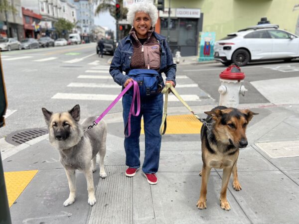 Woman Walking Two German Shepherd Mixes