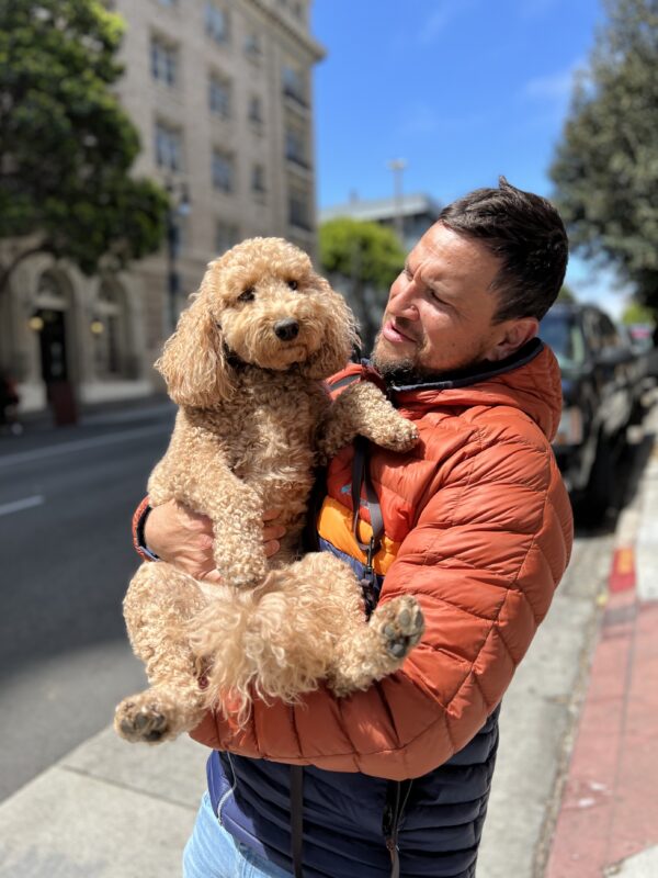 Man Holding Medium Sized Goldendoodle In His Arms