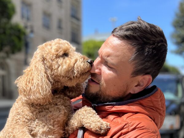 Goldendoodle Nibbling Man's Nose