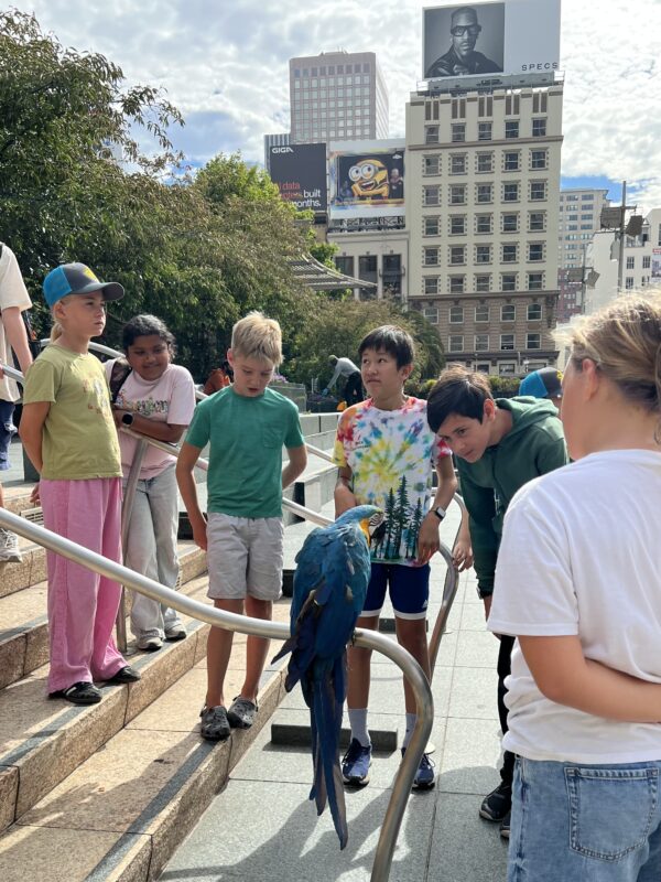 Children Looking At Blue And Gold Macaw Sitting On A Stairway Railing In Union Square Park