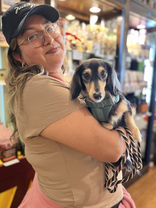 Woman Holding Black And Tan Miniature Dachshund