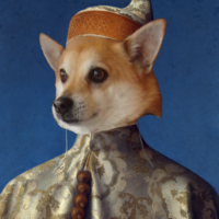 Il Doge di San Francesco
