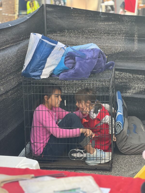 Children Playing In Cage