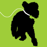 iPoodle